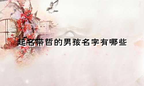 起名带哲的男孩名字有哪些