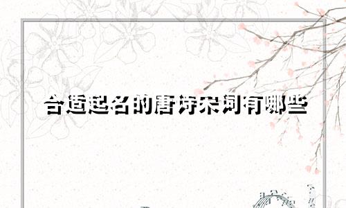 合适起名的唐诗宋词有哪些