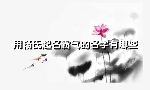 用杨氏起名霸气的名字有哪些