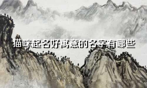猫咪起名好寓意的名字有哪些