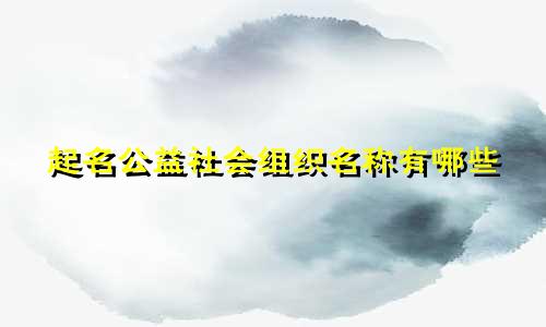起名公益社会组织名称有哪些