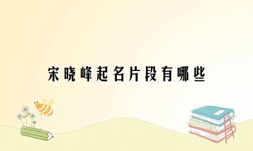 宋晓峰起名片段有哪些