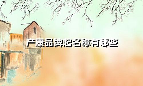 产康品牌起名称有哪些