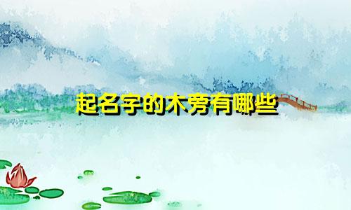 起名字的木旁有哪些