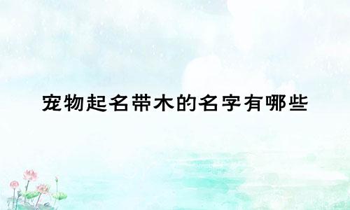 宠物起名带木的名字有哪些