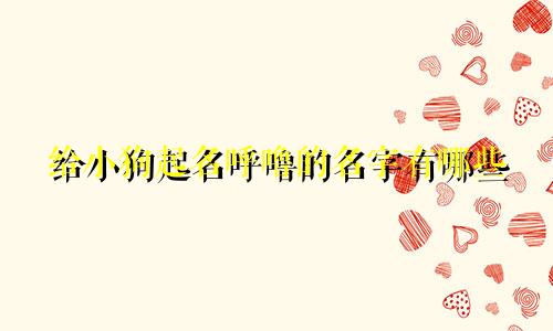 给小狗起名呼噜的名字有哪些