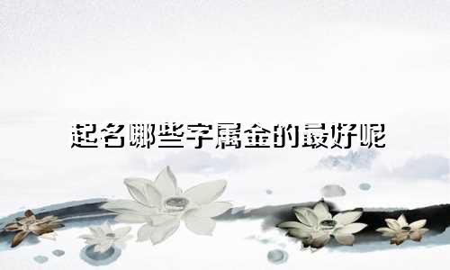 起名哪些字属金的最好呢