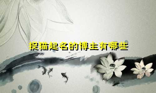 捉猫起名的博主有哪些