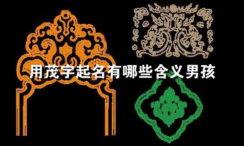 用茂字起名有哪些含义男孩