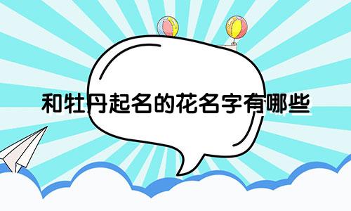 和牡丹起名的花名字有哪些