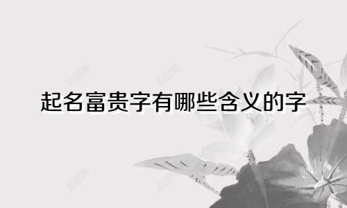 起名富贵字有哪些含义的字