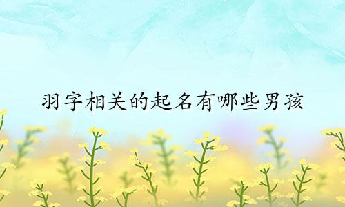 羽字相关的起名有哪些男孩