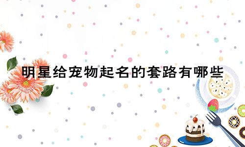 明星给宠物起名的套路有哪些