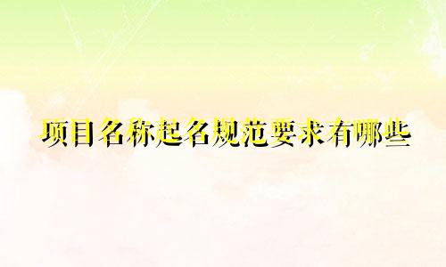 项目名称起名规范要求有哪些
