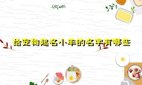 给宠物起名小羊的名字有哪些