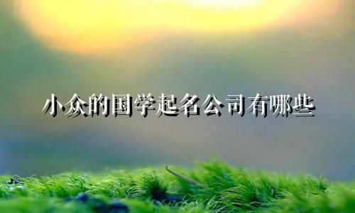 小众的国学起名公司有哪些