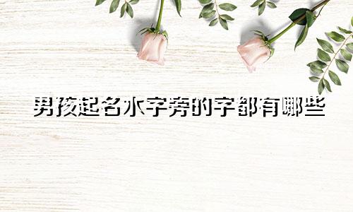 男孩起名水字旁的字都有哪些