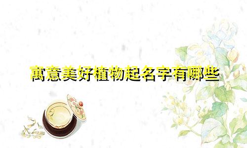 寓意美好植物起名字有哪些