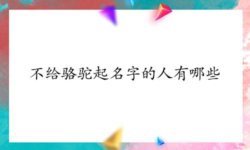 不给骆驼起名字的人有哪些