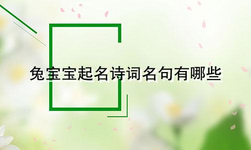 兔宝宝起名诗词名句有哪些