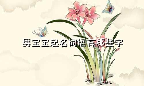 男宝宝起名词语有哪些字