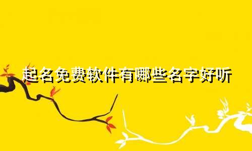 起名免费软件有哪些名字好听