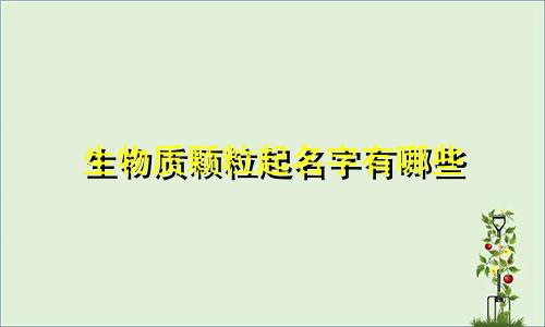 生物质颗粒起名字有哪些