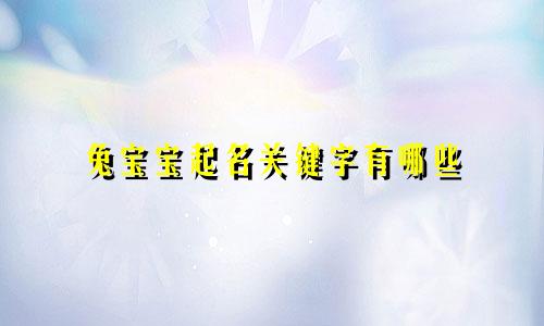 兔宝宝起名关键字有哪些