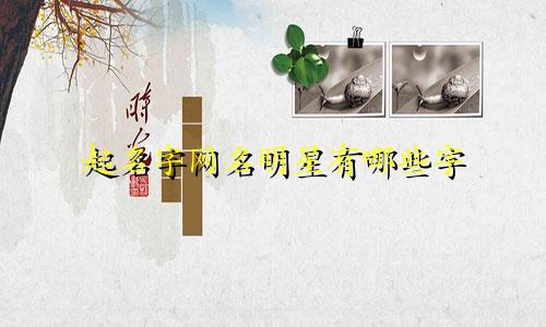 起名字网名明星有哪些字