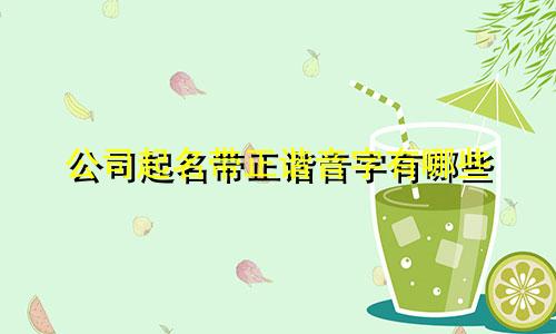 公司起名带正谐音字有哪些