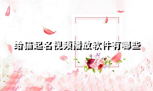 给猫起名视频播放软件有哪些