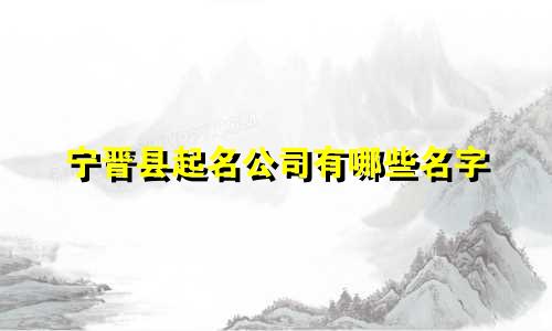 宁晋县起名公司有哪些名字