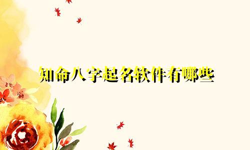 知命八字起名软件有哪些