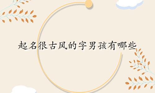 起名很古风的字男孩有哪些