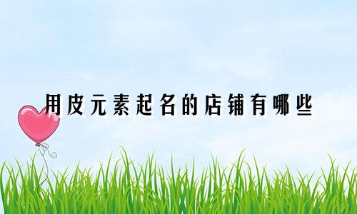 用皮元素起名的店铺有哪些