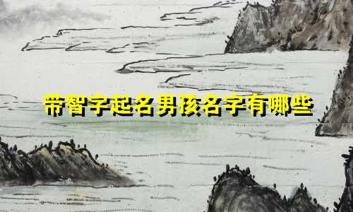 带智字起名男孩名字有哪些