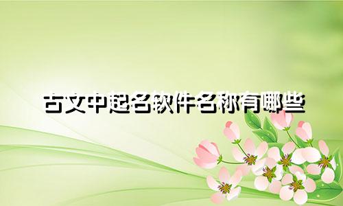 古文中起名软件名称有哪些