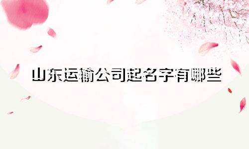 山东运输公司起名字有哪些