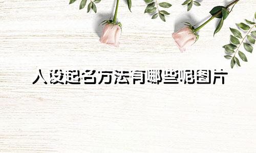 人设起名方法有哪些呢图片