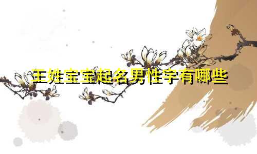 王姓宝宝起名男性字有哪些