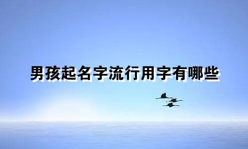 男孩起名字流行用字有哪些