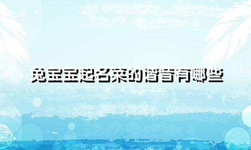 兔宝宝起名菜的谐音有哪些