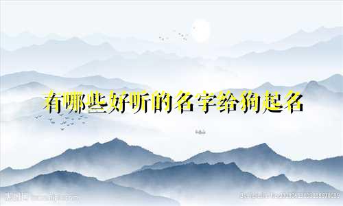 有哪些好听的名字给狗起名
