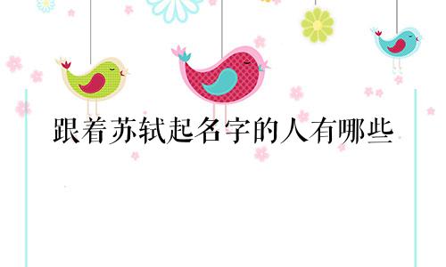 跟着苏轼起名字的人有哪些