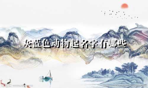 灰蓝色动物起名字有哪些