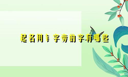 起名用钅字旁的字有哪些