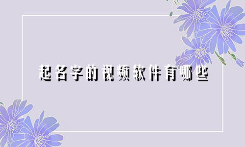 起名字的视频软件有哪些