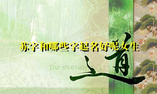 苏字和哪些字起名好呢女生