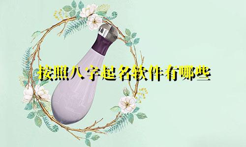 按照八字起名软件有哪些