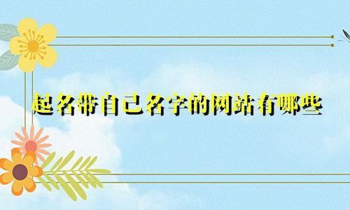 起名带自己名字的网站有哪些